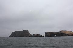 1127-Isole Ballestas,19 luglio 2013